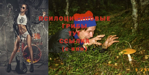 стаф Беломорск