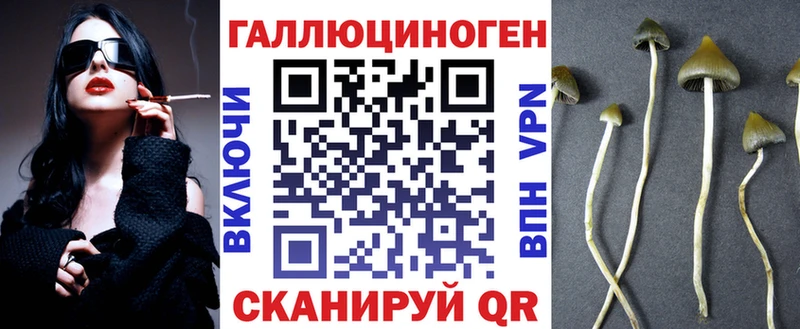 Псилоцибиновые грибы прущие грибы сколько стоит ОМГ ОМГ рабочий сайт Высоцк